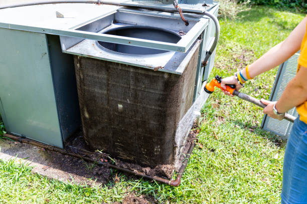 Best Local Air Duct Cleaning Services  in Montrose, MN