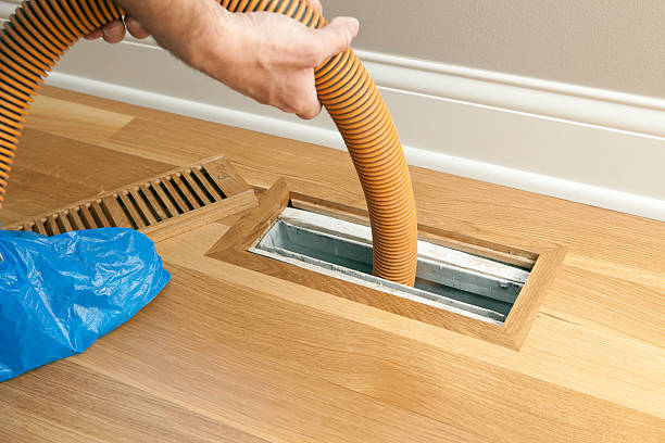 Best HVAC Air Duct Cleaning  in Montrose, MN