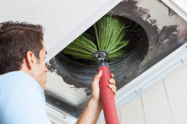 Best Best Air Duct Cleaning Company  in Montrose, MN